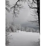 Vakantiehuis With 1 Bedroom Furth im Wald
